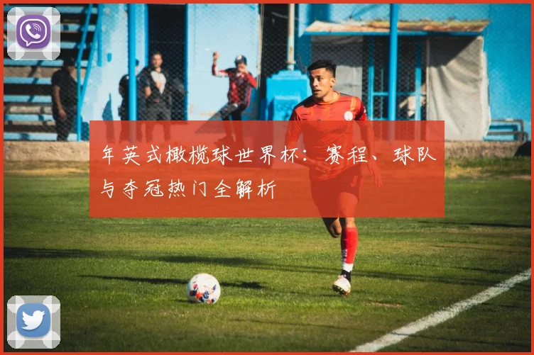 年英式橄榄球世界杯:赛程、球队与夺冠热门全解析