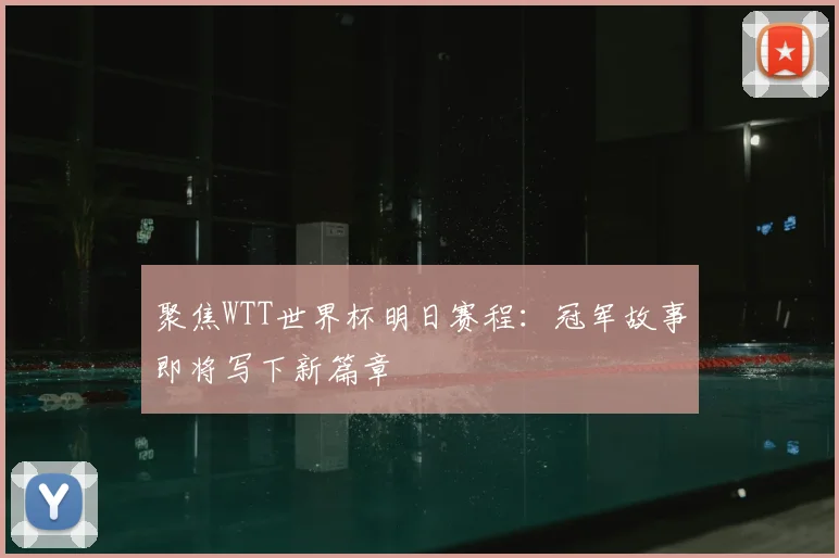 聚焦WTT世界杯明日赛程:冠军故事即将写下新篇章