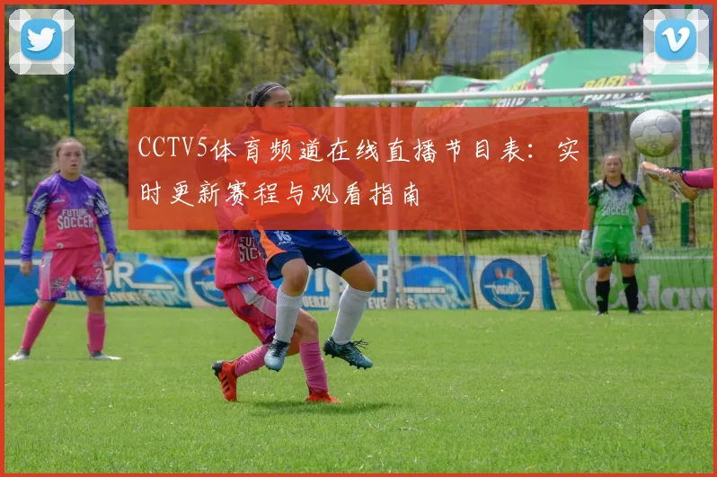 CCTV5体育频道在线直播节目表：实时更新赛程与观看指南