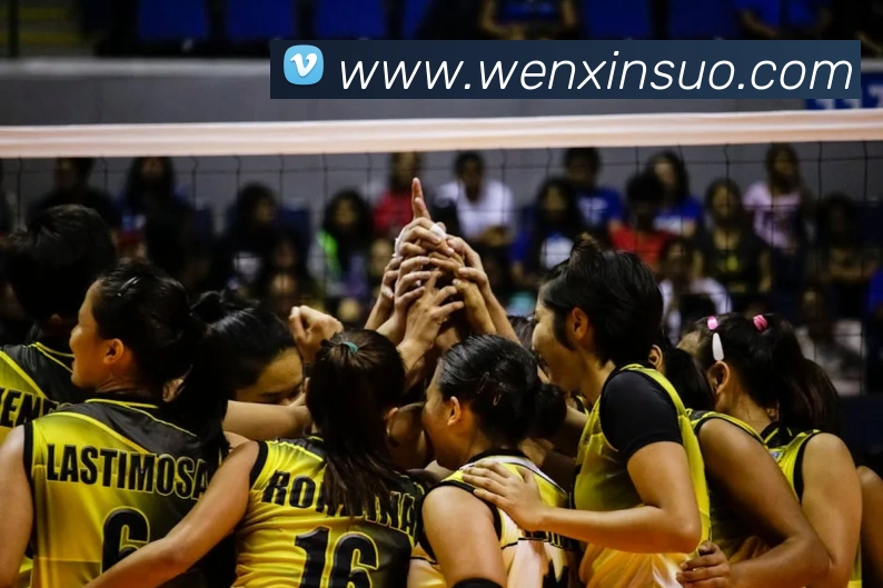 8868.cn直接登录APP 封面图